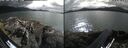 ./images/rivers-inlet/ethel/20260726/ethel20260726_170003.jpg