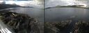 ./images/rivers-inlet/ethel/20260728/ethel20260728_091502.jpg