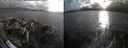 ./images/rivers-inlet/ethel/20260728/ethel20260728_194502.jpg