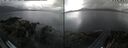 ./images/rivers-inlet/ethel/20260801/ethel20260801_170502.jpg