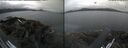 ./images/rivers-inlet/ethel/20260805/ethel20260805_101002.jpg