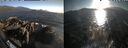 ./images/rivers-inlet/ethel/20260805/ethel20260805_192502.jpg