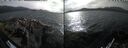 ./images/rivers-inlet/ethel/20260809/ethel20260809_164002.jpg