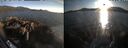 ./images/rivers-inlet/ethel/20260811/ethel20260811_195502.jpg