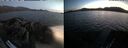 ./images/rivers-inlet/ethel/20260811/ethel20260811_213003.jpg