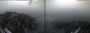 ./images/rivers-inlet/ethel/20260814/ethel20260814_062502.jpg