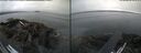 ./images/rivers-inlet/ethel/20260815/ethel20260815_065502.jpg