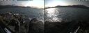 ./images/rivers-inlet/ethel/20260816/ethel20260816_164001.jpg