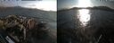 ./images/rivers-inlet/ethel/20260816/ethel20260816_185001.jpg