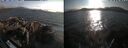 ./images/rivers-inlet/ethel/20260816/ethel20260816_185501.jpg