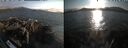 ./images/rivers-inlet/ethel/20260816/ethel20260816_191001.jpg
