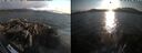 ./images/rivers-inlet/ethel/20260816/ethel20260816_192502.jpg