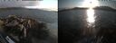 ./images/rivers-inlet/ethel/20260816/ethel20260816_193002.jpg