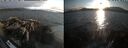 ./images/rivers-inlet/ethel/20260816/ethel20260816_193502.jpg
