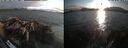 ./images/rivers-inlet/ethel/20260816/ethel20260816_194002.jpg
