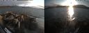 ./images/rivers-inlet/ethel/20260816/ethel20260816_194502.jpg