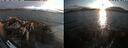 ./images/rivers-inlet/ethel/20260816/ethel20260816_195002.jpg