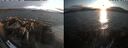 ./images/rivers-inlet/ethel/20260816/ethel20260816_195502.jpg
