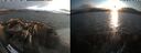 ./images/rivers-inlet/ethel/20260816/ethel20260816_200002.jpg