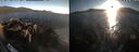 ./images/rivers-inlet/ethel/20260820/ethel20260820_195502.jpg