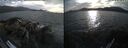 ./images/rivers-inlet/ethel/20260821/ethel20260821_184502.jpg