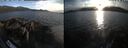 ./images/rivers-inlet/ethel/20260824/ethel20260824_193502.jpg