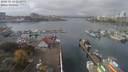./images/victoria/wharf/20181024/wharf20181024_123953.jpg