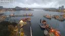 ./images/victoria/wharf/20181026/wharf20181026_073951.jpg