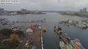 ./images/victoria/wharf/20181027/wharf20181027_122956.jpg