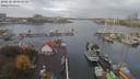 ./images/victoria/wharf/20181030/wharf20181030_094955.jpg
