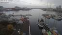 ./images/victoria/wharf/20181031/wharf20181031_112453.jpg