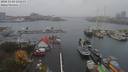 ./images/victoria/wharf/20181101/wharf20181101_135451.jpg