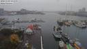 ./images/victoria/wharf/20181101/wharf20181101_141952.jpg