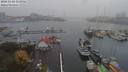 ./images/victoria/wharf/20181101/wharf20181101_152955.jpg