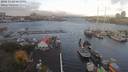 ./images/victoria/wharf/20181102/wharf20181102_085452.jpg