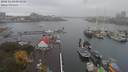 ./images/victoria/wharf/20181103/wharf20181103_092949.jpg