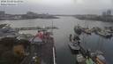 ./images/victoria/wharf/20181103/wharf20181103_161956.jpg
