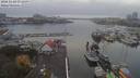 ./images/victoria/wharf/20181103/wharf20181103_171458.jpg