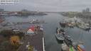 ./images/victoria/wharf/20181103/wharf20181103_172949.jpg