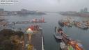 ./images/victoria/wharf/20181109/wharf20181109_071955.jpg