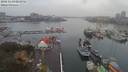 ./images/victoria/wharf/20181109/wharf20181109_073956.jpg