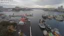 ./images/victoria/wharf/20181109/wharf20181109_110955.jpg