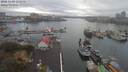 ./images/victoria/wharf/20181109/wharf20181109_112455.jpg