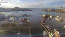 ./images/victoria/wharf/20190119/wharf20190119_141455.jpg