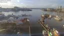 ./images/victoria/wharf/20190119/wharf20190119_142455.jpg