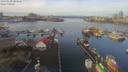 ./images/victoria/wharf/20190120/wharf20190120_103955.jpg