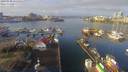 ./images/victoria/wharf/20190120/wharf20190120_111456.jpg