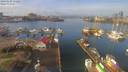 ./images/victoria/wharf/20190120/wharf20190120_112457.jpg