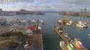 ./images/victoria/wharf/20190120/wharf20190120_121459.jpg