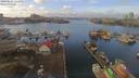 ./images/victoria/wharf/20190120/wharf20190120_122950.jpg